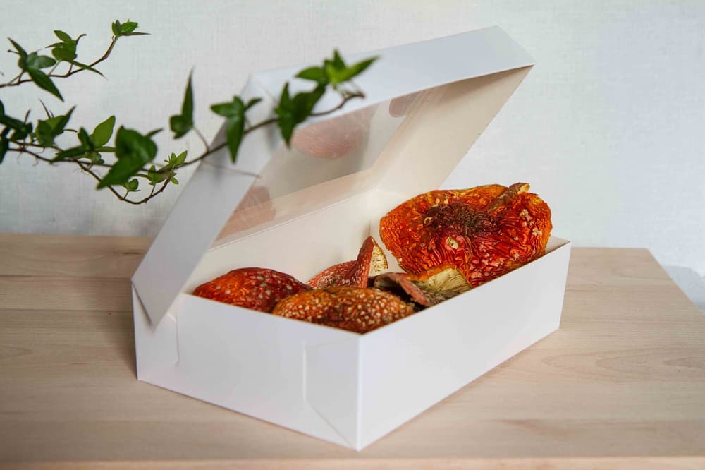 Dried fly agaric caps