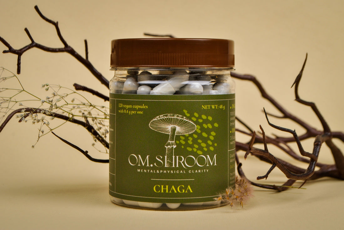 REJUVENATION: Chaga Mushroom 120 Capsules