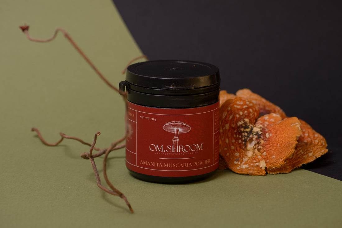 om.shroom’s Fly Agaric Powder for microdosing (BALANCE, STRESS RELIEF & MENTAL CLARITY) - improves memory, focus, and mental clarity