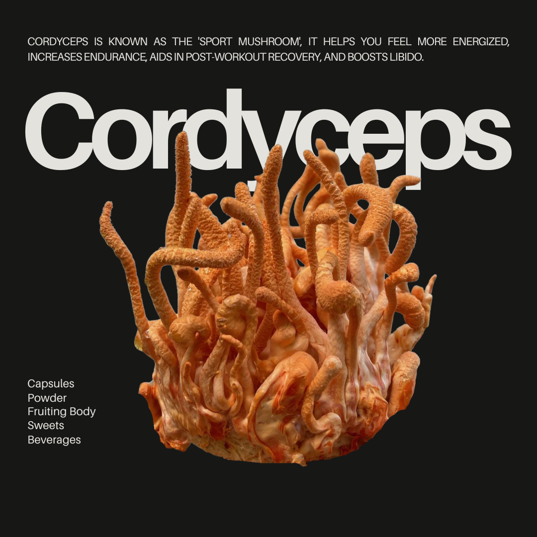 Cordyceps effects and forms