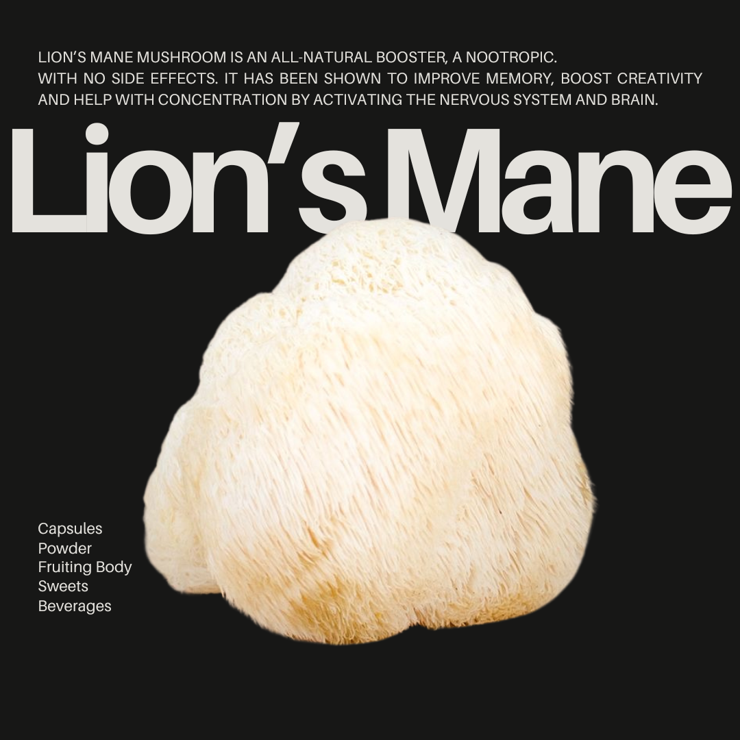 Lion's Mane effects and forms