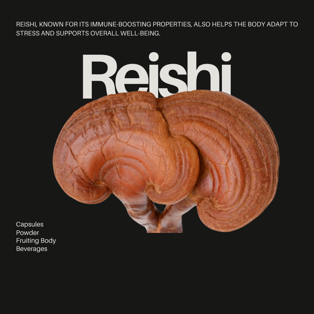 Reishi mushroom forms and effects