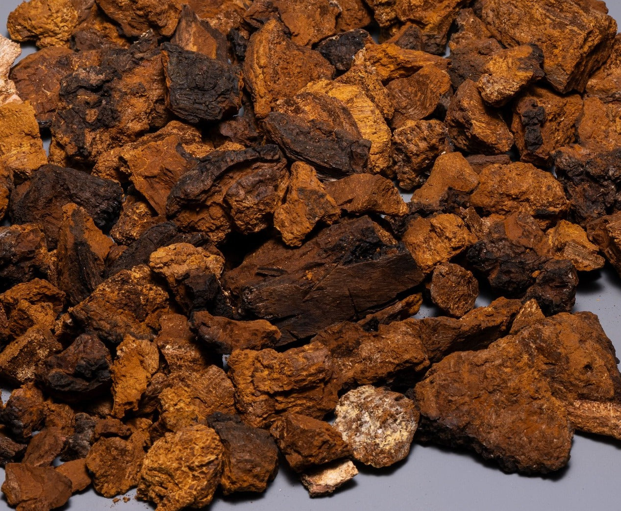 pieces of mushroom chaga