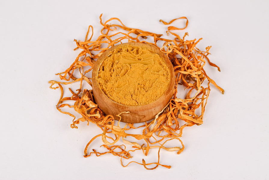 Cordyceps Militaris extract powder, 50% polysaccharides (Bulk orders, pack 1 kg)