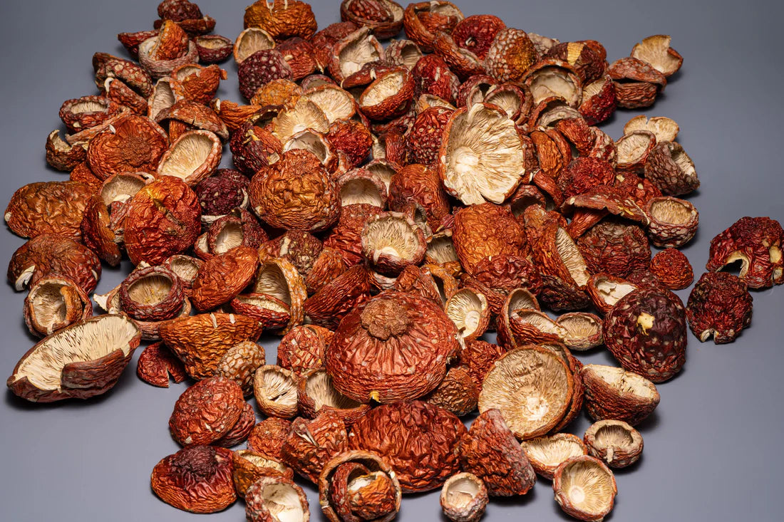 Amanita Muscaria whole caps (Bulk orders, pack 0,5 kg)