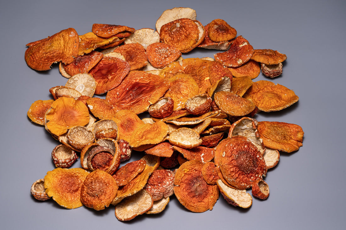 om.shroom’s Amanita Muscaria VIP Hats - improves memory, focus, and mental clarity