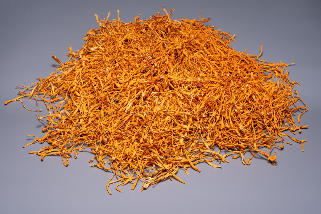 ENDURANCE: Cordyceps Militaris Fruiting Body