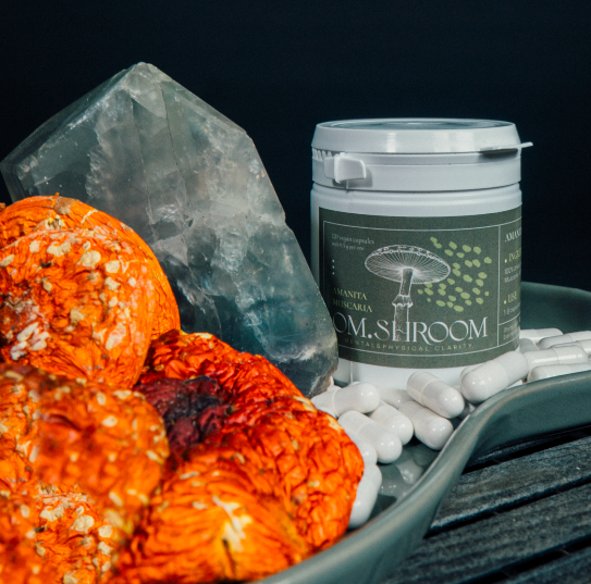 Dried amanita muscaria in capsules